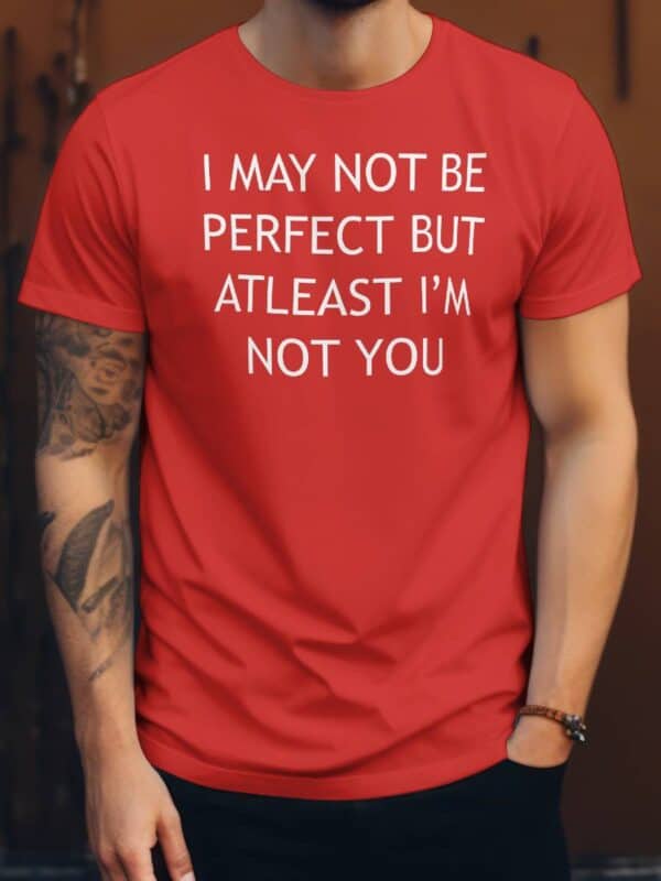 I may not be perfect but atleast im not you T skjorte