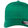 Paprikagrønn