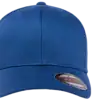 Kongeblå
