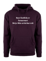 Bare fordi du er fornærmet – Hettegenser