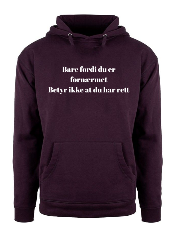 Bare fordi du er fornærmet – Hettegenser