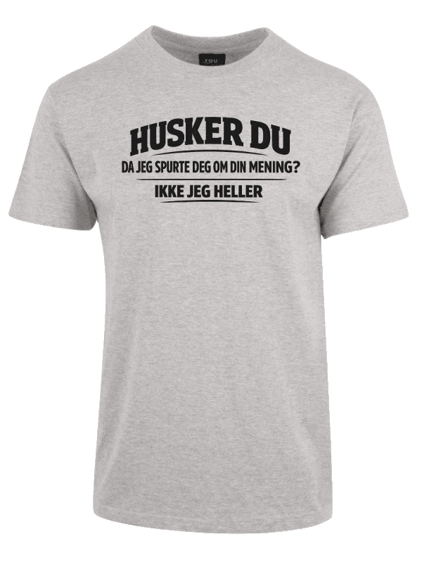 Husker du da jeg spurte deg om din mening