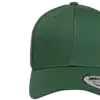 Vintergrønn