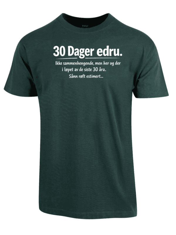 30 Dager edru