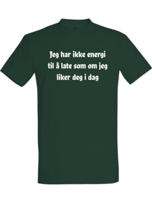 Jeg har ikke energi til å late som om jeg liker deg i dag