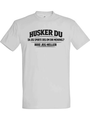 Husker du da jeg spurte deg om din mening