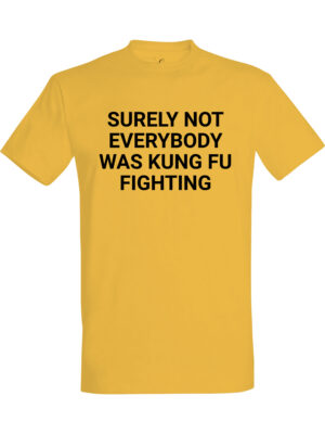 Kung fu fighting